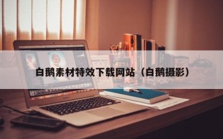 陕西白鹅素材特效下载网站（白鹅摄影）